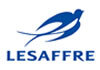 client amplitude formation et conseil RH lesaffre